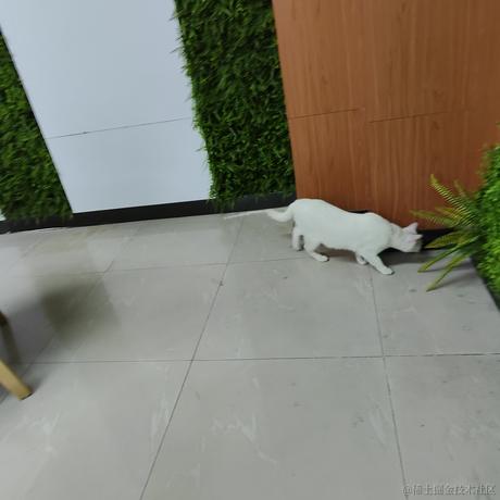 小小的顶碗人于2022-11-27 22:48发布的图片