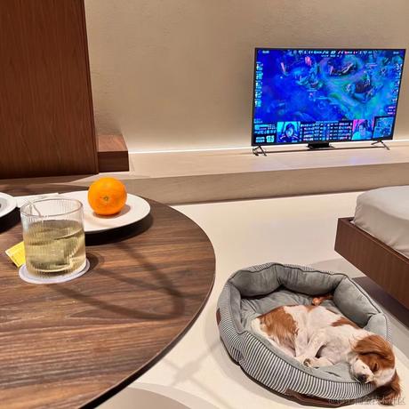 IT小番茄于2023-04-11 13:06发布的图片