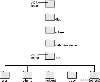 Figure 13-8 ADR Directory Structure for an Oracle Database Instance