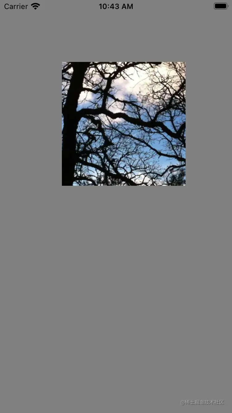 Simulator Screen Shot - iPhone 8 - 2021-05-29 at 10.43.29.png