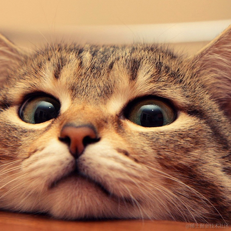 哈士企鹅于2021-04-23 15:35发布的图片