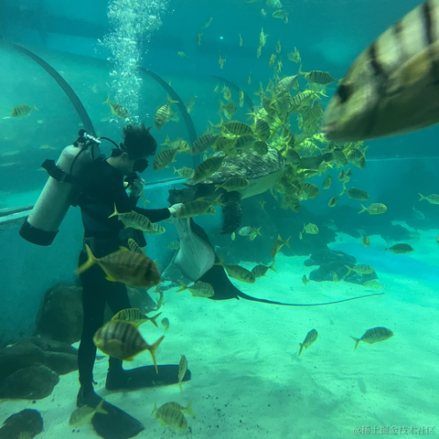 苏州第一深情于2024-04-15 09:04发布的图片