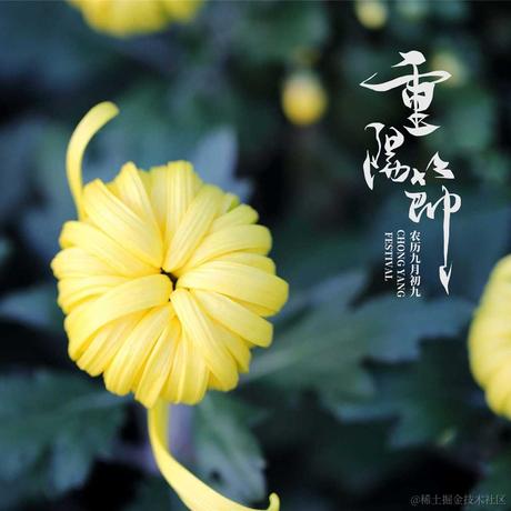 洛亦仙于2021-10-10 19:39发布的图片