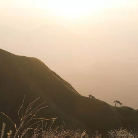 xfdd于2021-02-23 10:47发布的图片