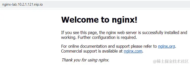 图 13.11 - 验证 NGINX 是否正在运行