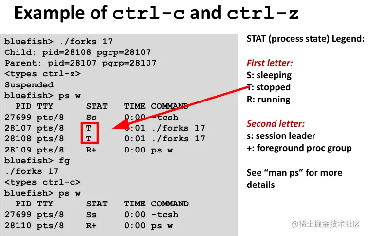 image-20220119141804157