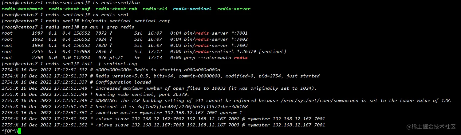 image-20221216172312644
