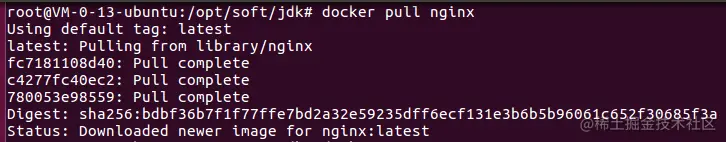 下载nginx