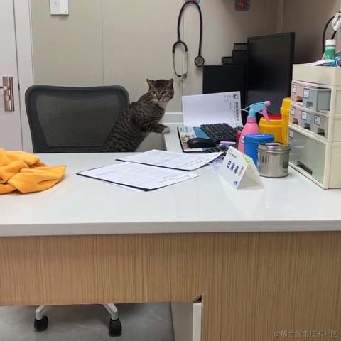 林雨一直走于2023-06-11 17:20发布的图片