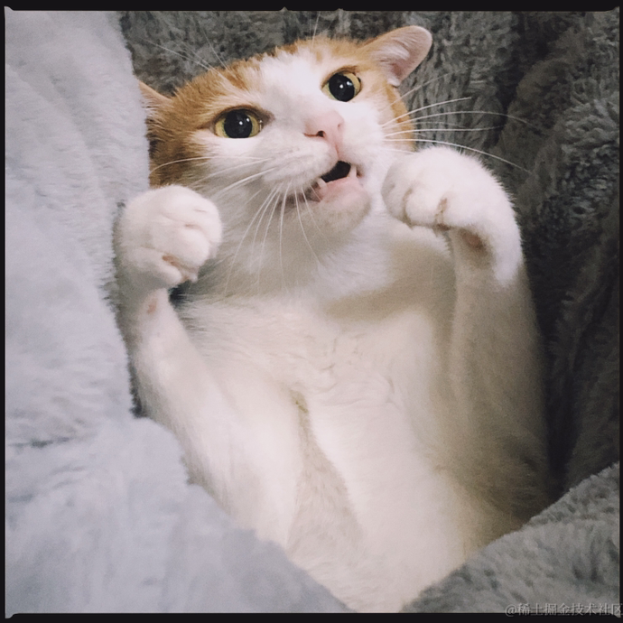 上班摸鱼828皮皮皮皮皮喵设计 @ touch fish·4月