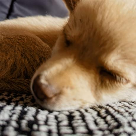 粉色矮子可爱捏于2022-12-10 22:40发布的图片