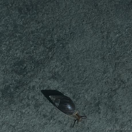 关注乃琳谢谢尬于2023-06-25 23:41发布的图片