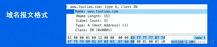 image-20220708161147631