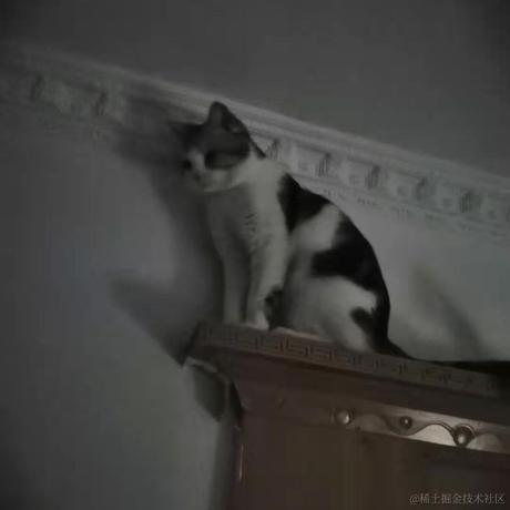 HumorDrill于2023-06-23 08:04发布的图片