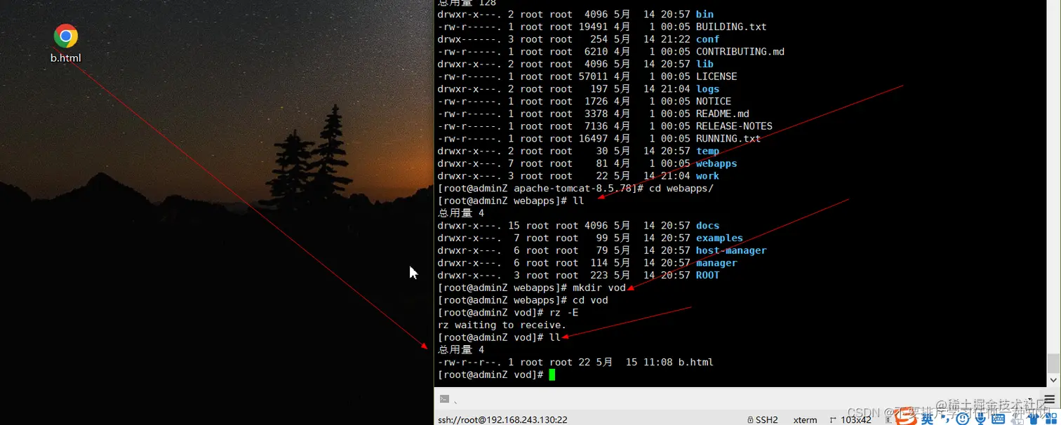 在这里插入图片描述
