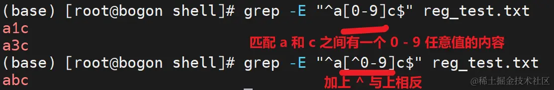 image-20230425204053165