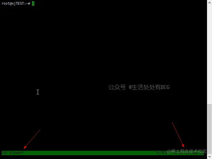 Tmux-demo-image (1)