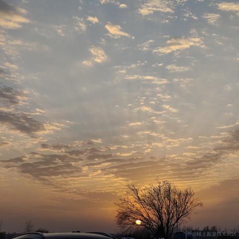 未季言于2023-01-19 17:18发布的图片