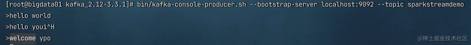 image-20230129225850284