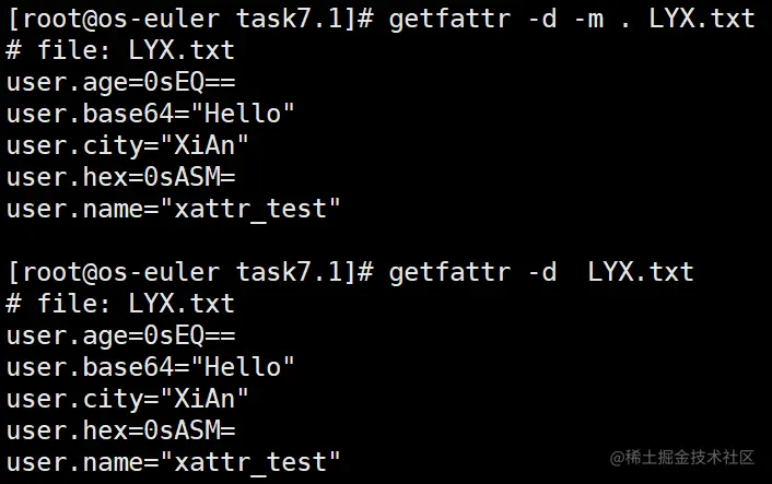 image-20211226162542026