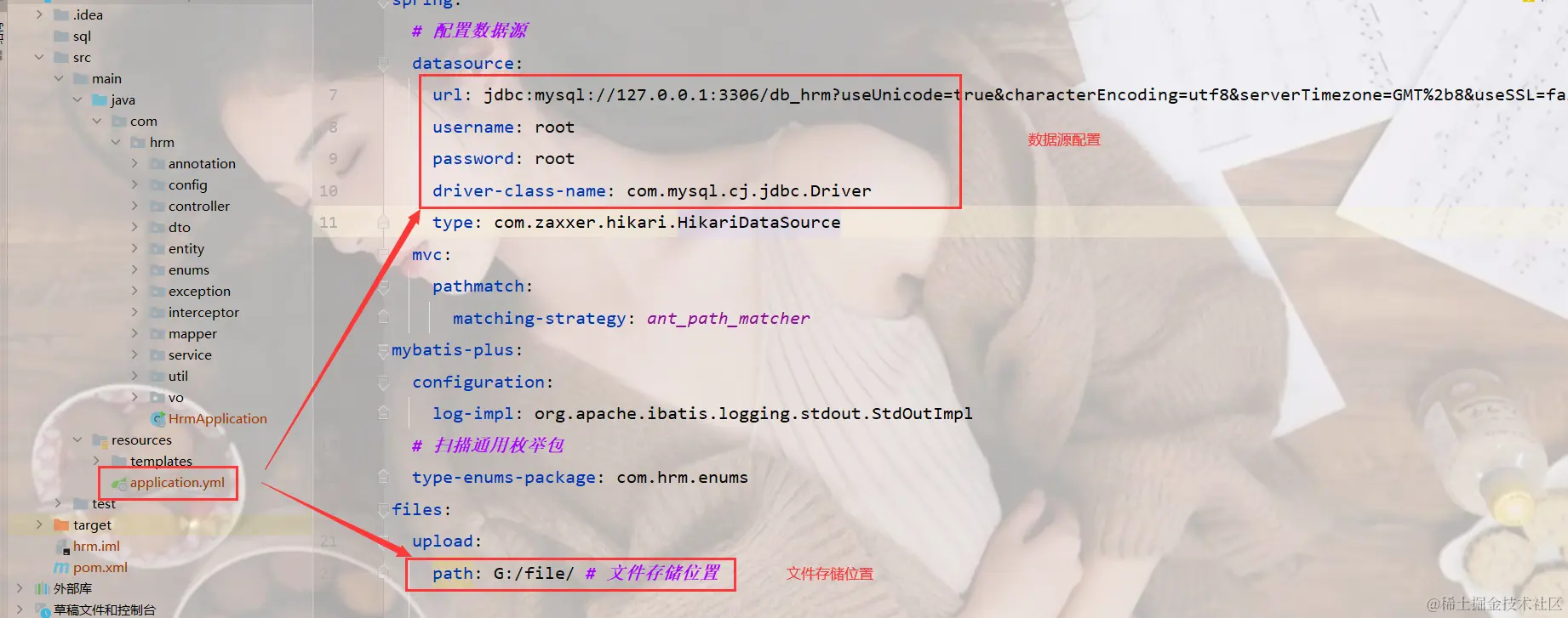 image-20231223192956601