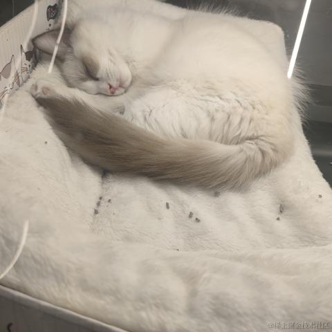 魔导师向晚于2022-11-17 14:44发布的图片