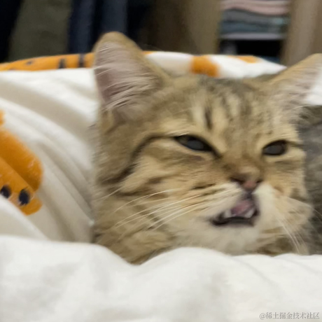 一只菜豆于2022-11-20 15:00发布的图片