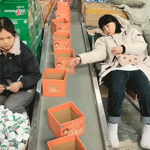 德育处主任于2023-12-14 12:39发布的图片