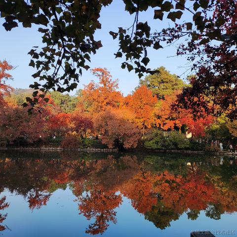 优秀稳妥的金枪小魔王于2023-11-22 11:24发布的图片