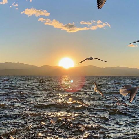 Pluto_云落于2023-01-01 11:33发布的图片