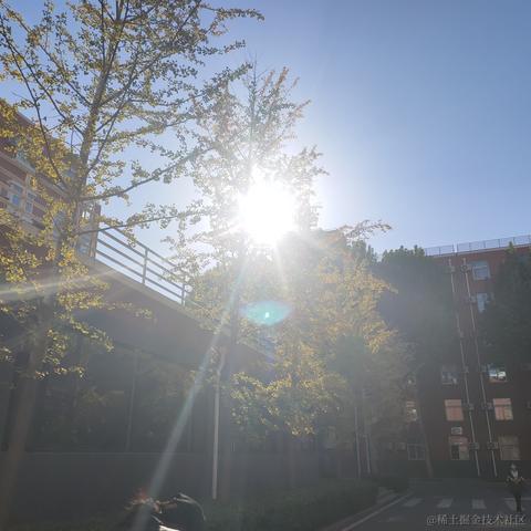 羙橘于2022-10-18 17:57发布的图片