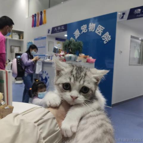 ipp_Xochitl于2022-05-09 17:22发布的图片
