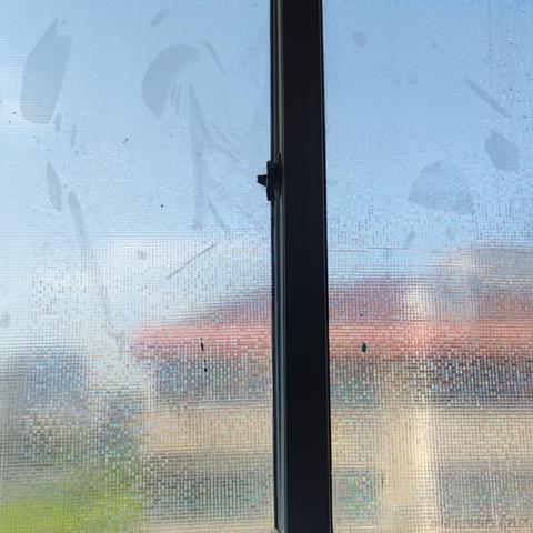 HelloWonder于2021-08-08 15:07发布的图片