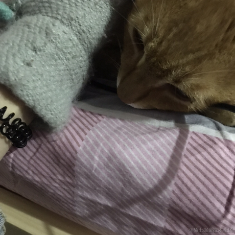 Li_Cat001于2021-02-02 07:34发布的图片