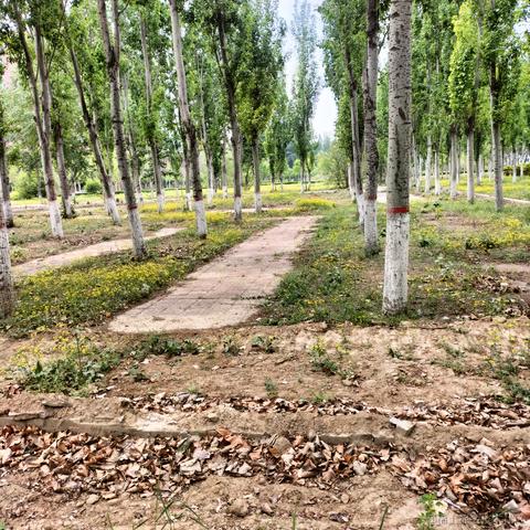 是小高同学呀于2023-04-26 09:24发布的图片