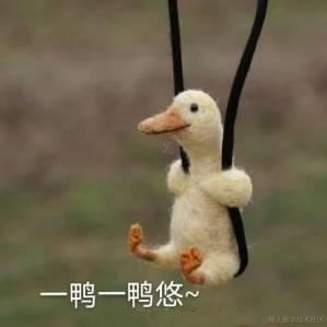 晶格于2022-11-22 09:55发布的图片