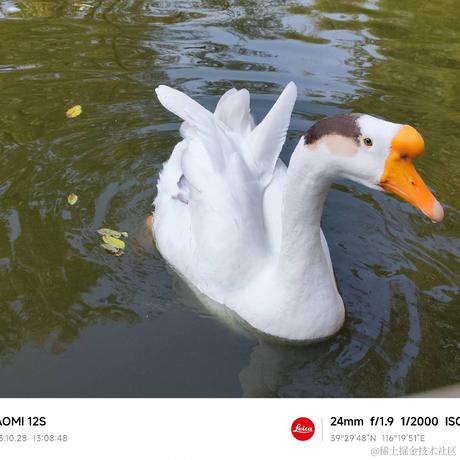 innormal于2023-11-06 16:14发布的图片