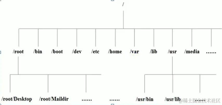 image-20210202215743182