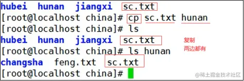 image-20220310121009737