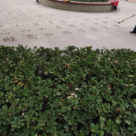 好吃不贵斯基于2022-11-25 10:20发布的图片