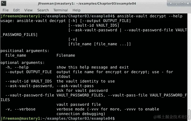 图 3.13 – Ansible Vault 解密子命令的可用选项