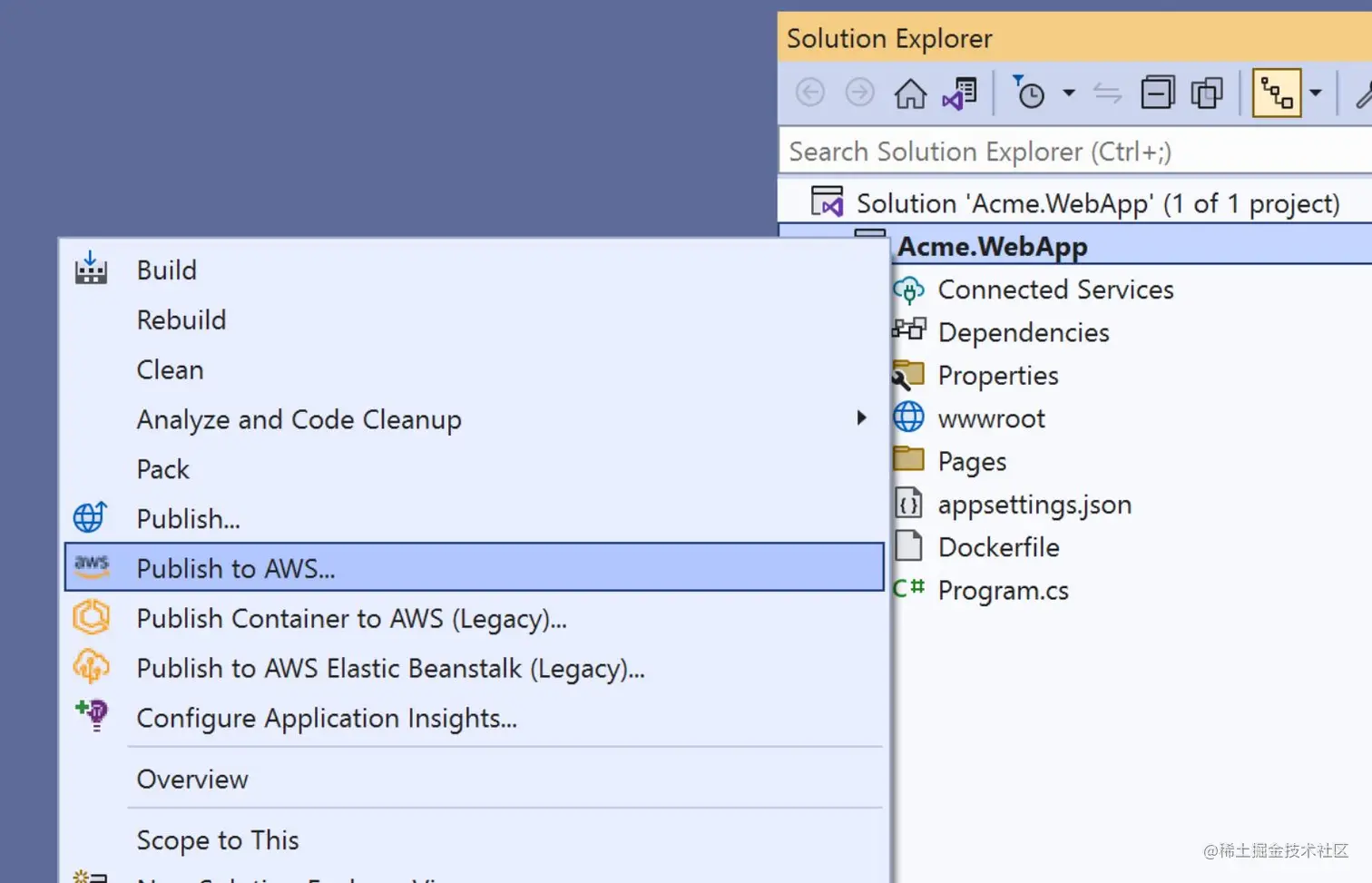 Dotnet publish to AWS