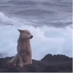 叫我Nene丶啦于2023-01-12 09:47发布的图片