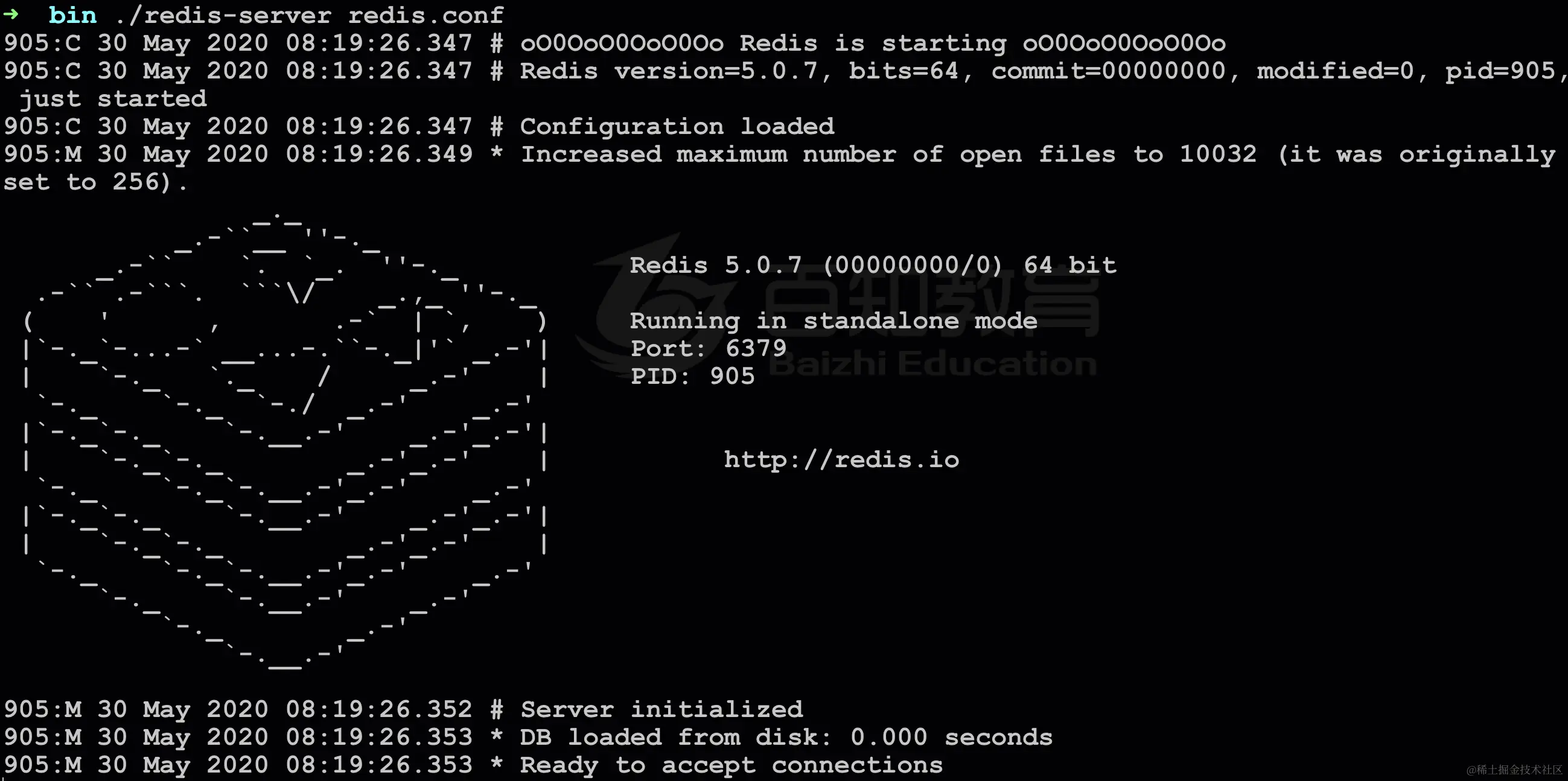 image-20200529173859939