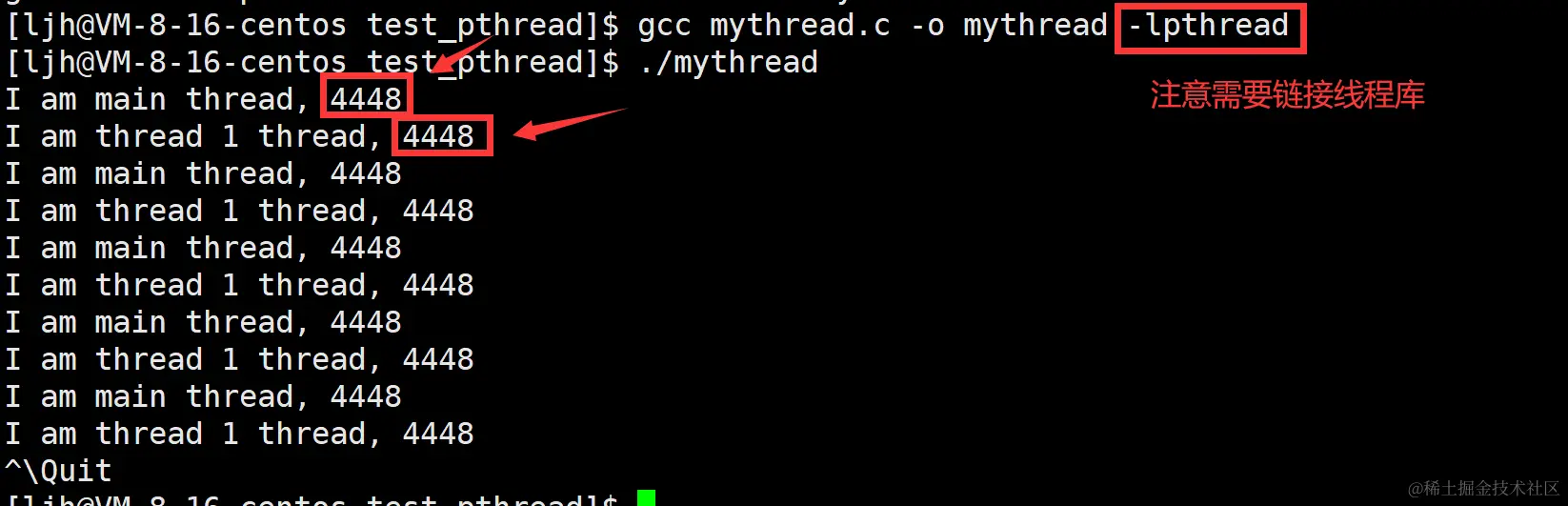 image-20240212175232621