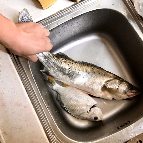 从热河到定西于2021-11-25 14:19发布的图片