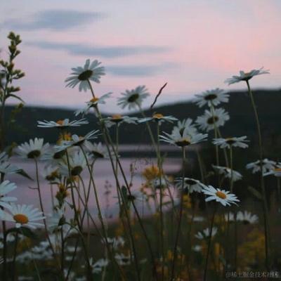 如棠于2023-04-07 10:25发布的图片