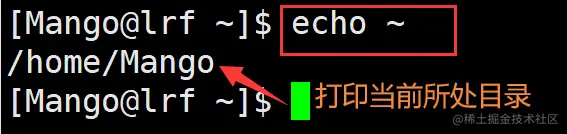 image-20220313114648202