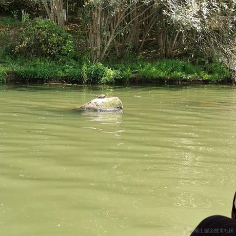 BC小平于2021-09-30 01:01发布的图片